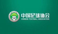 短短几个月16支俱乐部退出 中国职业联赛之殇 谁来负责？